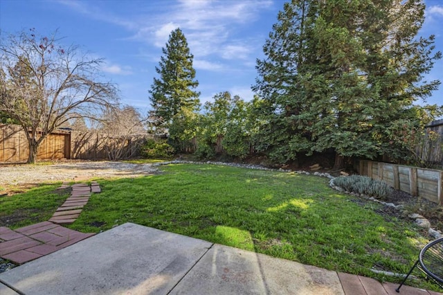 view of yard with a patio