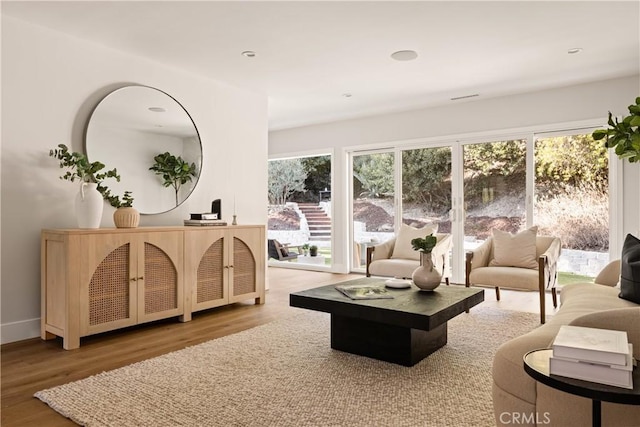 living room with wood-type flooring