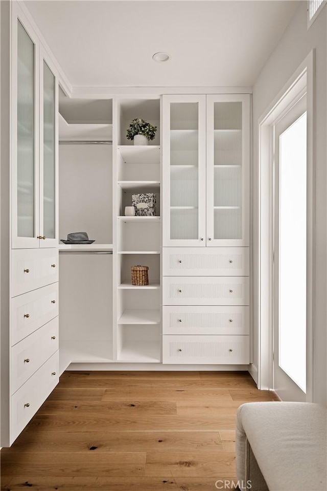 spacious closet featuring wood-type flooring