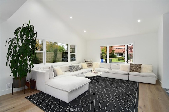 living room featuring high vaulted ceiling and hardwood / wood-style floors