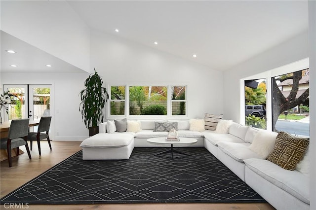 living room featuring high vaulted ceiling and hardwood / wood-style floors