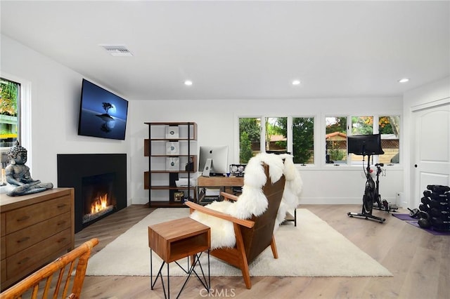 living room featuring light hardwood / wood-style floors