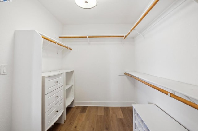 walk in closet featuring dark wood-type flooring