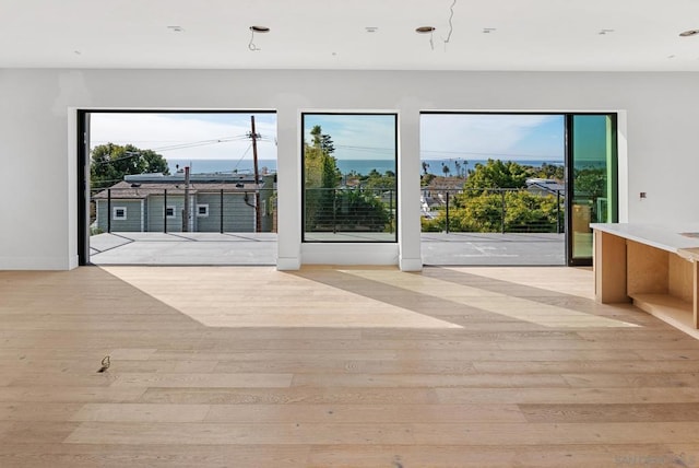 doorway to outside featuring a wealth of natural light and light hardwood / wood-style flooring