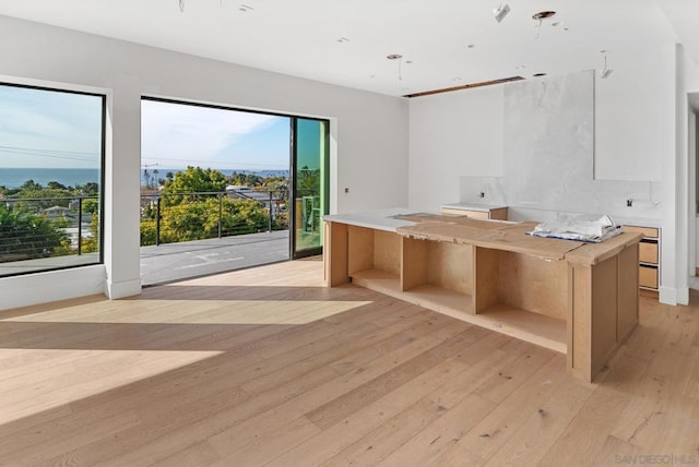 bathroom featuring plenty of natural light and wood-type flooring