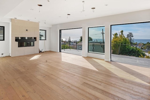 unfurnished living room with a healthy amount of sunlight, light wood-type flooring, and a fireplace