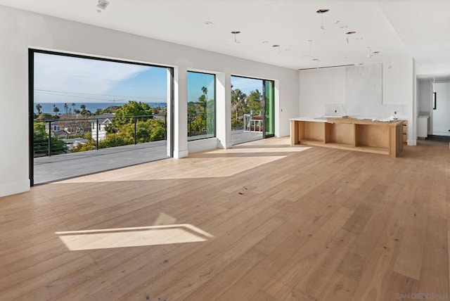 unfurnished living room with light wood-type flooring