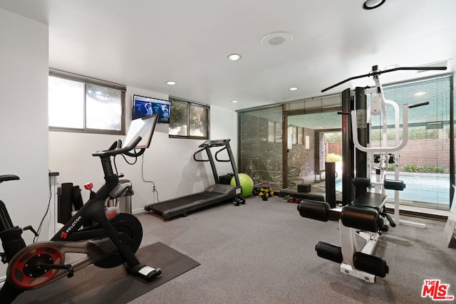 exercise area featuring carpet and a wall of windows