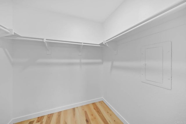 spacious closet with electric panel and hardwood / wood-style floors