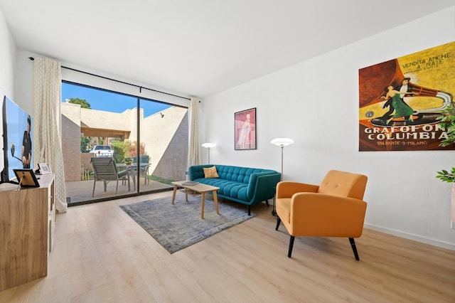 living room with a wall of windows and light hardwood / wood-style flooring