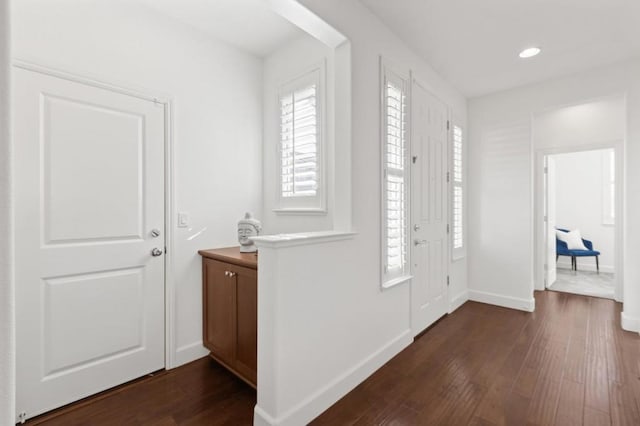 foyer with dark wood-type flooring