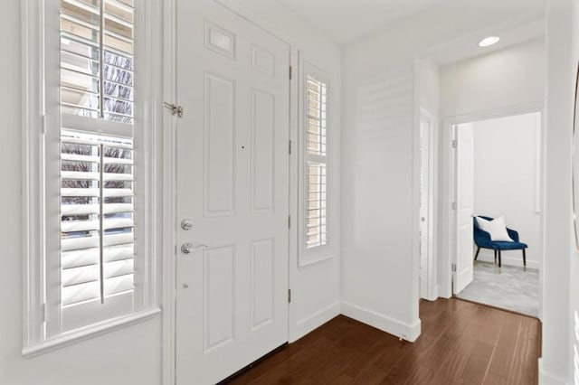 entrance foyer featuring dark wood-type flooring