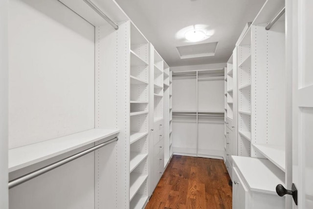 spacious closet featuring dark wood-type flooring