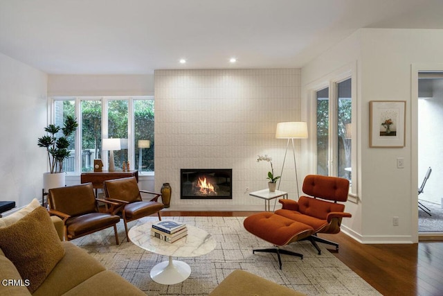 living room featuring a large fireplace and hardwood / wood-style floors