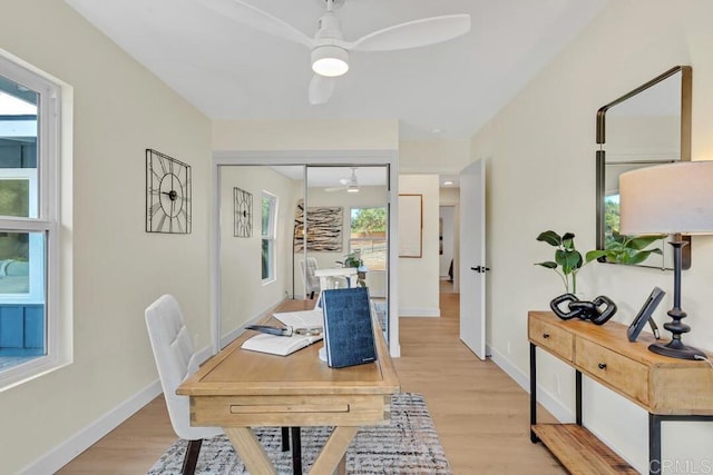 office space with ceiling fan and light hardwood / wood-style floors