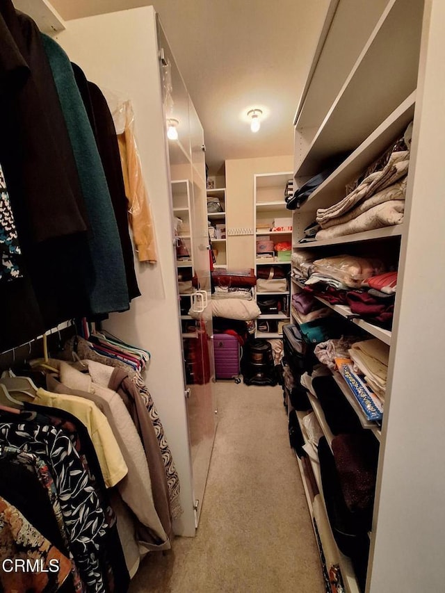 695 County Square Dr Unit 13, Ventura, CA 93003 - walk in closet featuring carpet floors