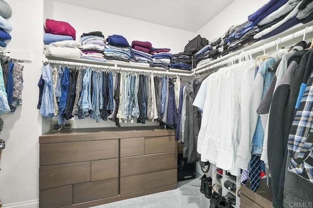 spacious closet with light carpet