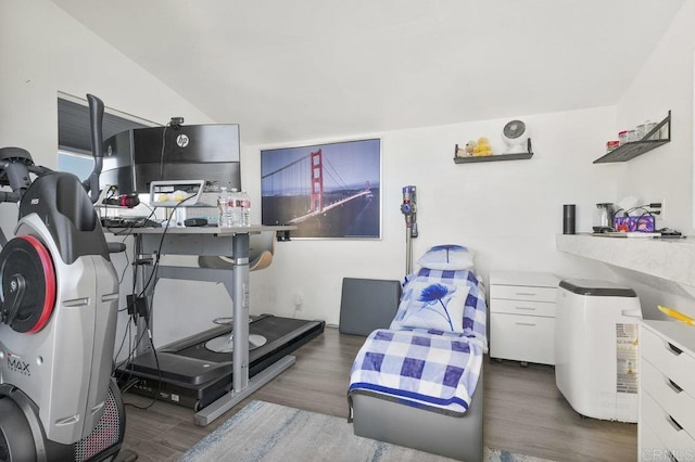 exercise room with dark hardwood / wood-style flooring