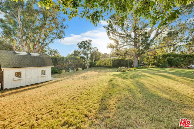 view of yard featuring a storage shed