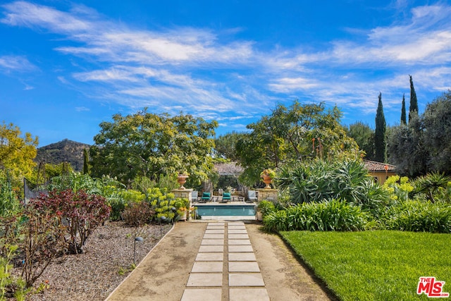 view of community featuring a yard, a mountain view, and a swimming pool