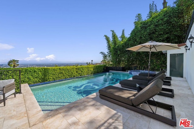 view of pool featuring a patio area