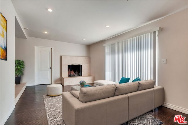 living room featuring dark wood-type flooring