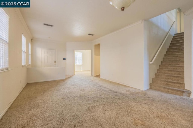 empty room with crown molding and carpet flooring