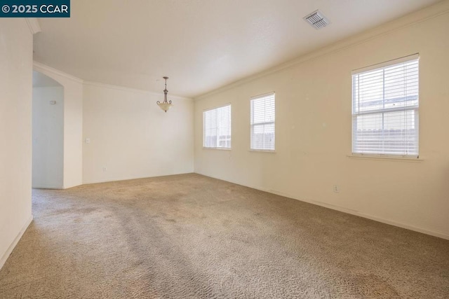 unfurnished room featuring carpet floors, plenty of natural light, and ornamental molding