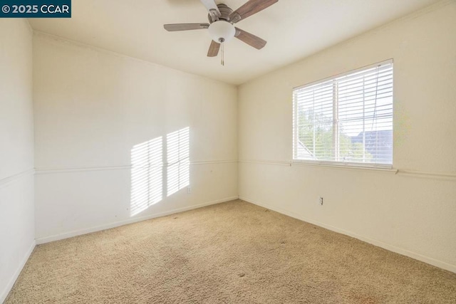 unfurnished room with ceiling fan and carpet