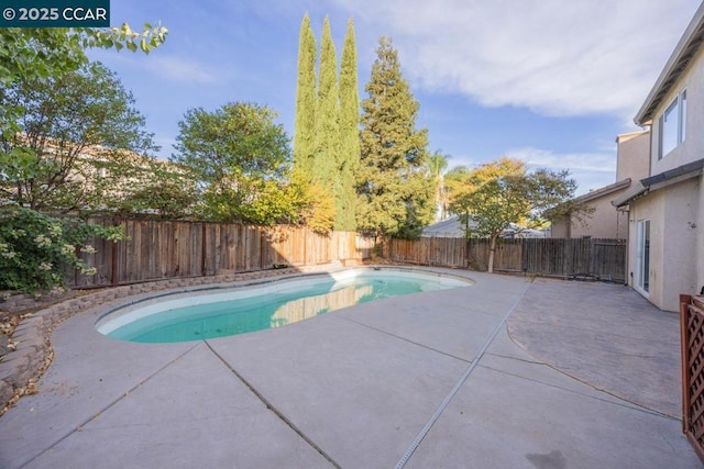 view of swimming pool featuring a patio area