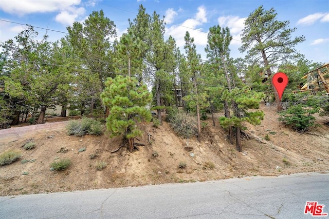 Listing photo 3 for 865 Menlo, Big Bear CA 92315