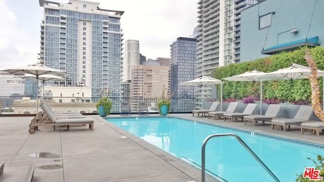 view of pool featuring a patio