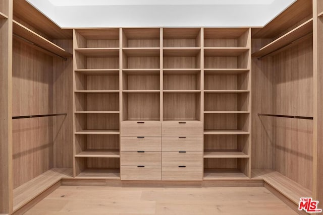 walk in closet featuring light wood-type flooring