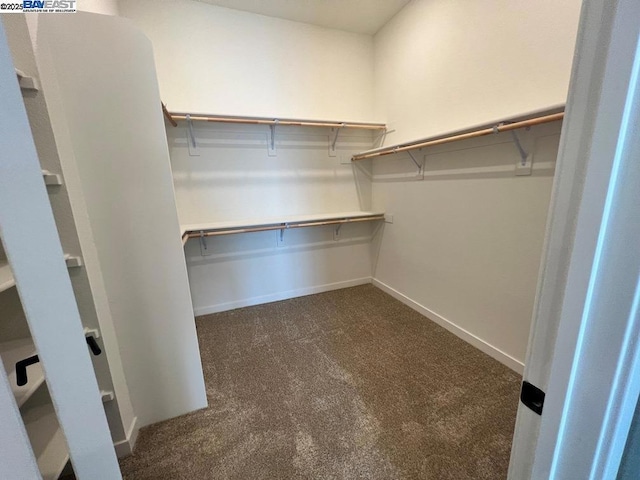 spacious closet with dark carpet