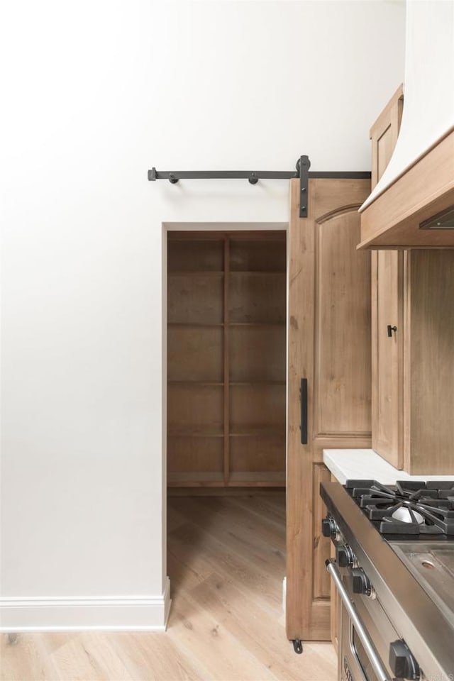 spacious closet featuring light hardwood / wood-style floors