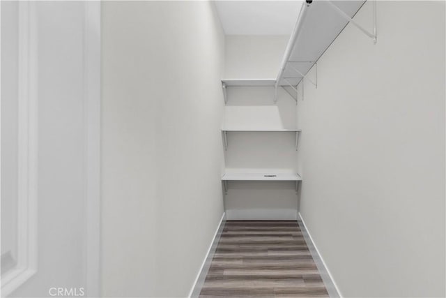 walk in closet featuring hardwood / wood-style floors