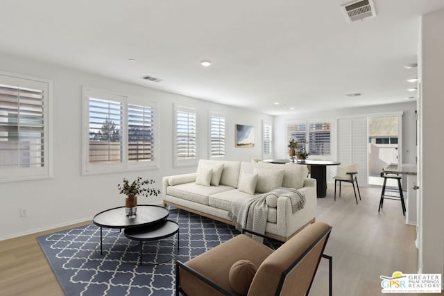 living room featuring wood-type flooring