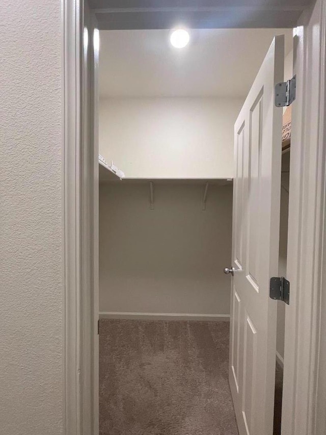 spacious closet with dark carpet