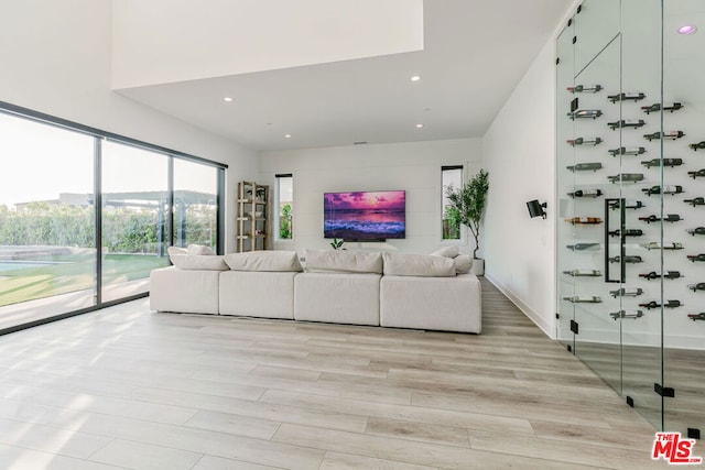 unfurnished living room featuring light hardwood / wood-style floors