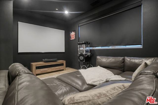 view of home theater room