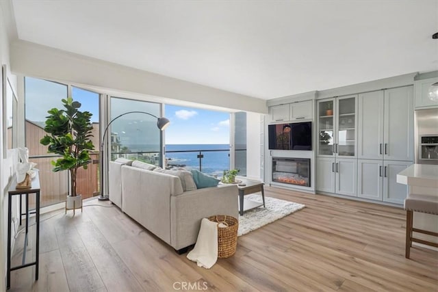 living room with light hardwood / wood-style flooring