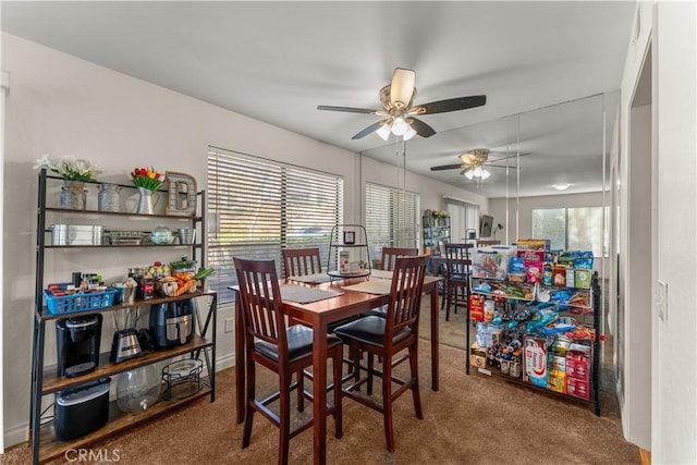 carpeted dining area with a healthy amount of sunlight