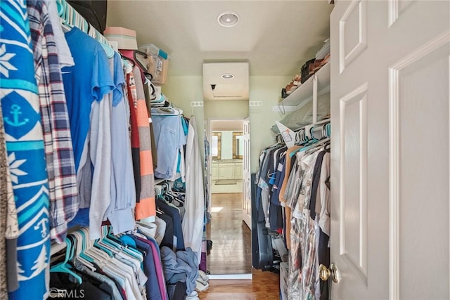 spacious closet with wood-type flooring