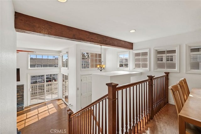 corridor with a wealth of natural light, a notable chandelier, beam ceiling, and hardwood / wood-style floors