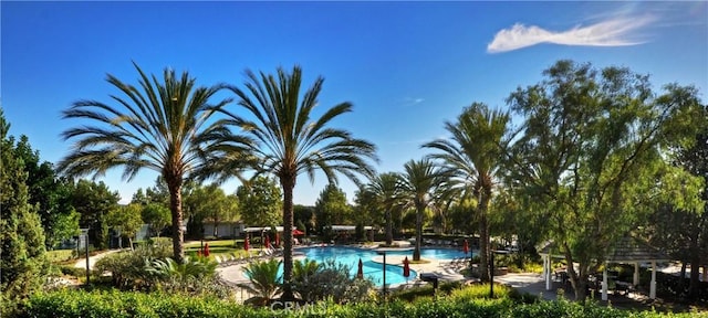 view of swimming pool with a gazebo