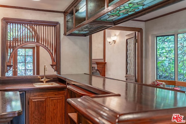 bar featuring sink, a wealth of natural light, and crown molding