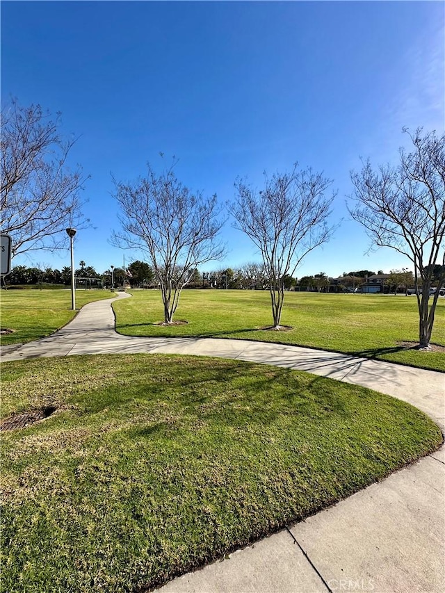 view of community with a yard