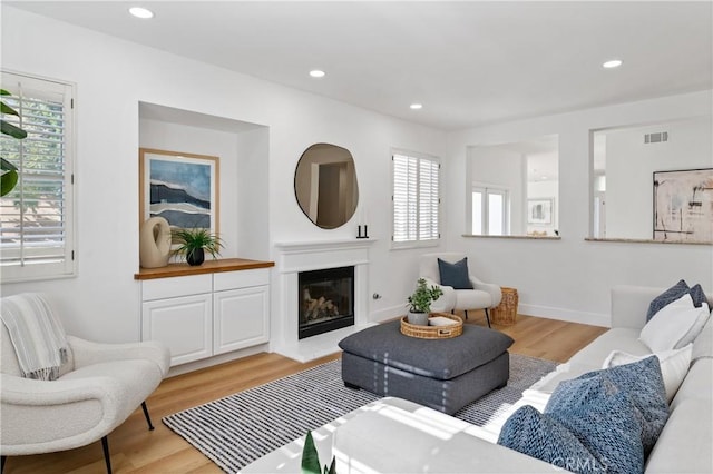 living room featuring light hardwood / wood-style flooring