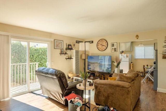 living room with hardwood / wood-style flooring