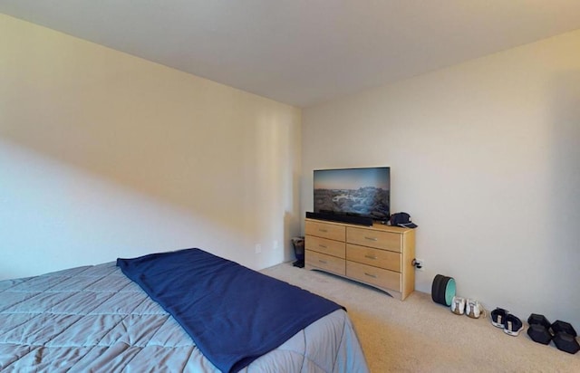 bedroom featuring light colored carpet